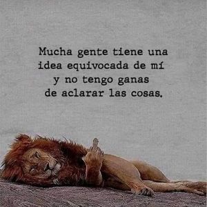 Meet your Posher, Melody